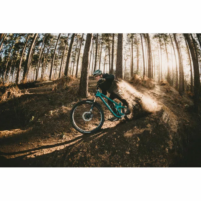 Goodyear Newton MTF Downhill Tubeless Complete Tyre 10 Goodyear Newton MTF Downhill Tubeless Complete Tyre - Billede 10