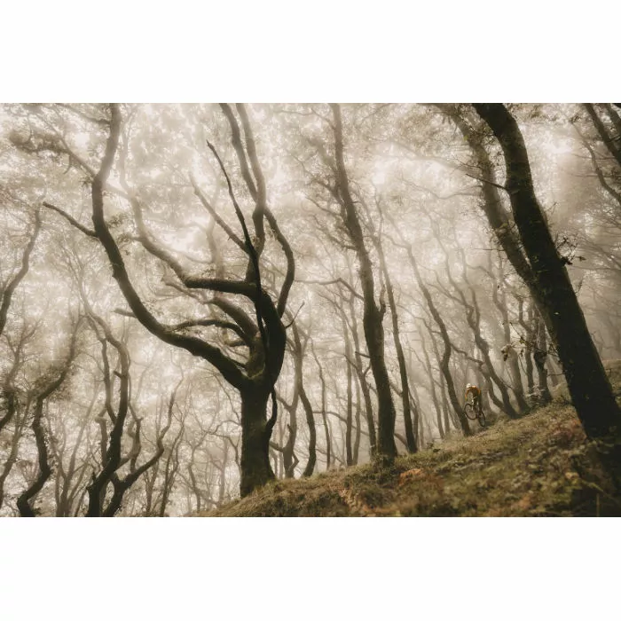 Goodyear Newton MTF Downhill Tubeless Complete Tyre 11 Goodyear Newton MTF Downhill Tubeless Complete Tyre - Billede 11