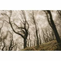 Goodyear Newton Trail Tubeless Front MTB Tyre Black 2.5" 27 -Finish Line Goodyear Newton Trail Tubeless Front MTB Tyre Tyres Black GR 015 64 622 V002 R 9